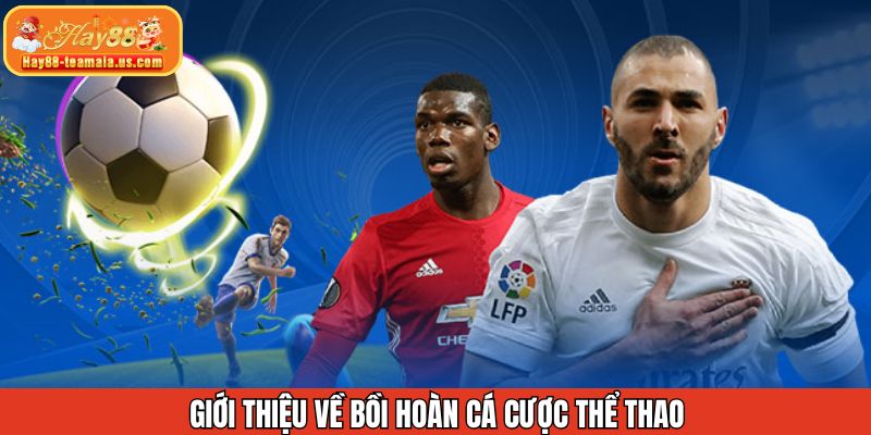 Thông tin sơ lược về ưu đãi hoàn trả cược hấp dẫn