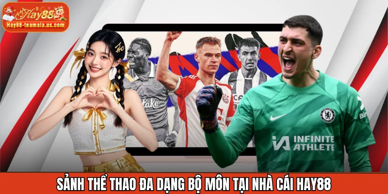 Sảnh thể thao đa dạng bộ môn tại nhà cái Hay88