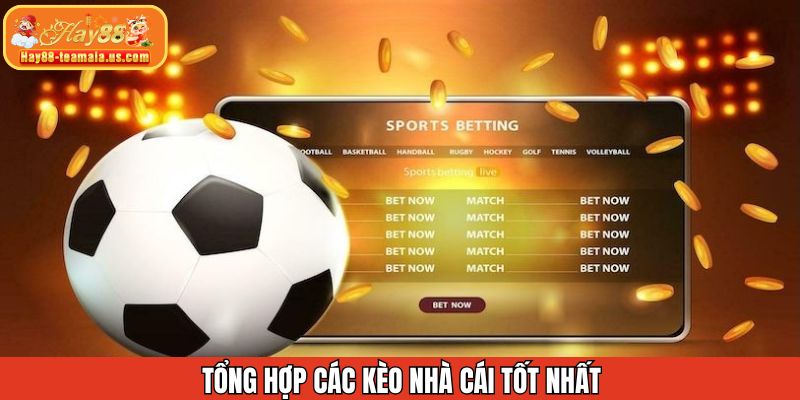 Top các kèo được ưa chuộng nhiều nhất hiện tại