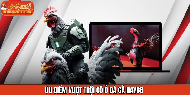 Ưu điểm vượt trội có ở đá gà Hay88 