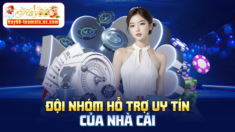 Đội nhóm hỗ trợ uy tín của nhà cái