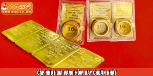 Cập nhật giá vàng mới nhất cho nhà đầu tư